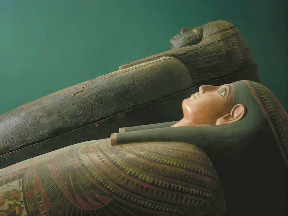 The Field Museum of Natural History Ticket